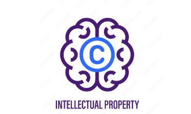 INTELLECTUAL PROPERTY RIGHTS (IPR)